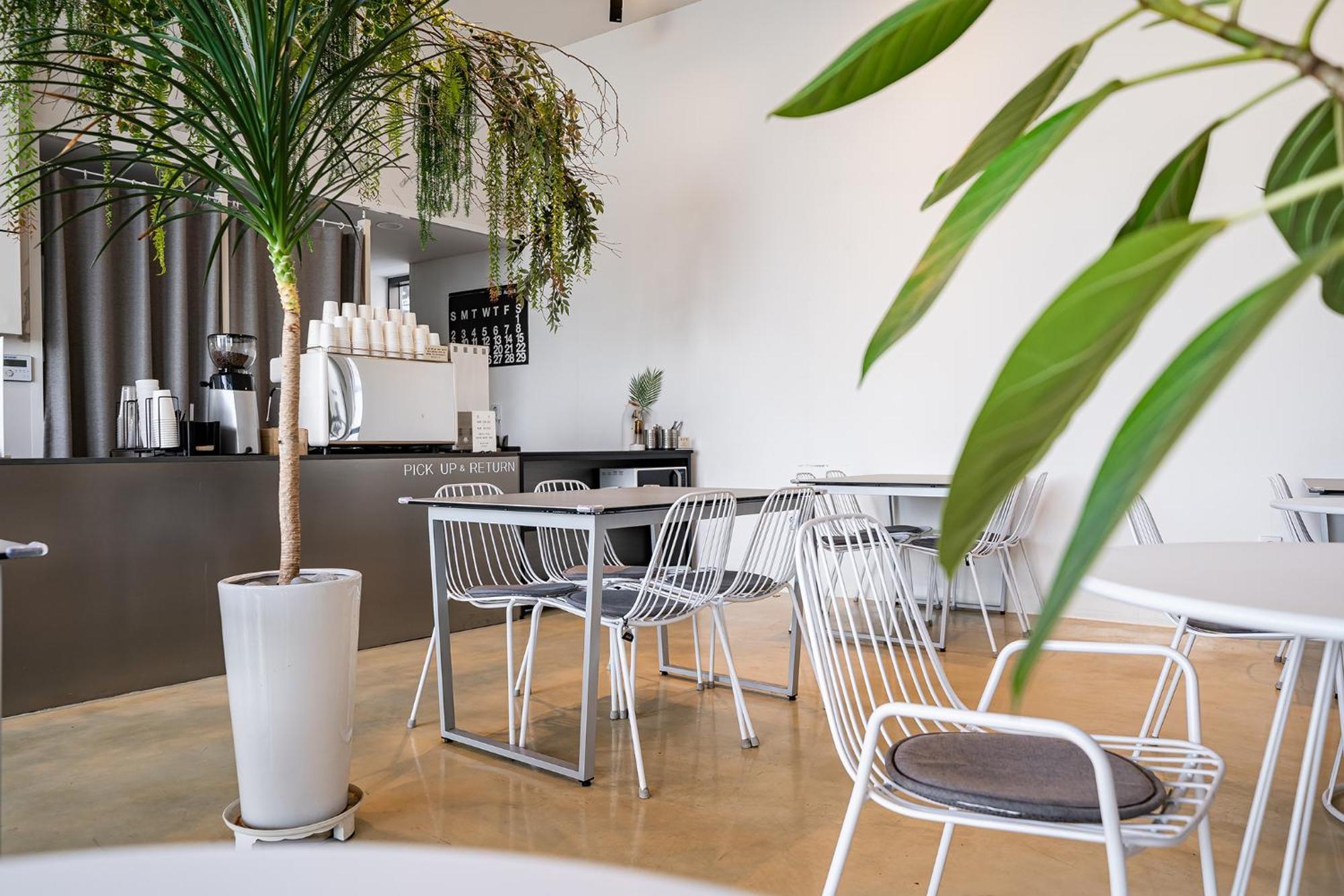 Stay Hostel Сокчхо Экстерьер фото